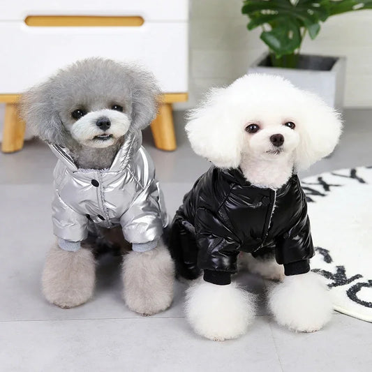 Waterproof Winter Dog Jacket β Lightweight, Warm & Windproof Coat for Small & Medium Dogs