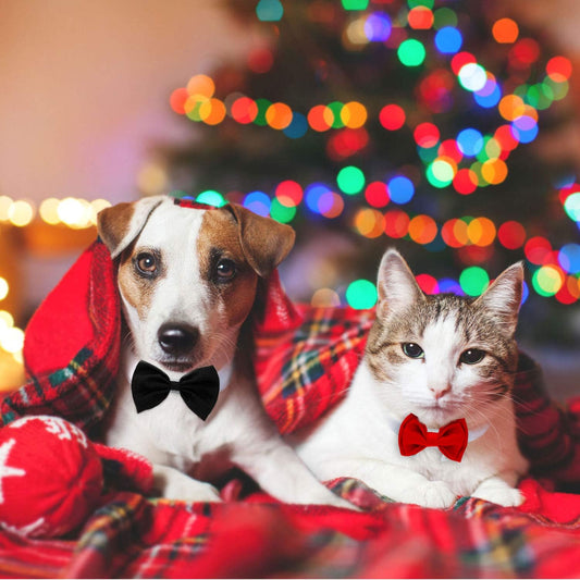 4 Pack Pet Bow Ties Adjustable | Formal Dog Collar & Cat Neck Tie for Small Dogs & Cats | Puppy Grooming Party Costume Accessories β L, Black, Red, Pink, Blue, Gray