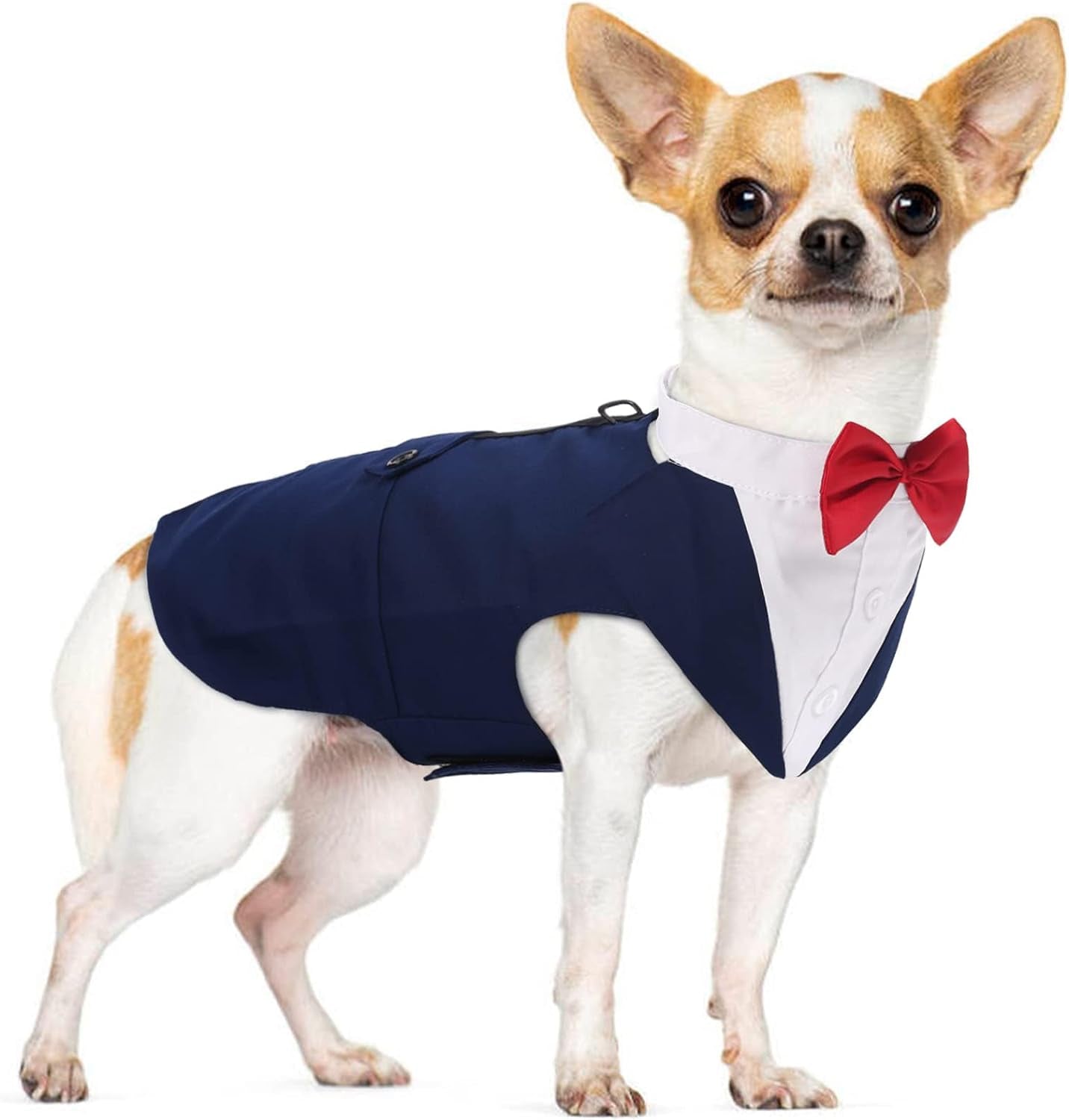 🎩 2-Piece Dog Tuxedo Set – Vest & Bow Tie Collar 🐾 Small Dog Bowtie & Cat Bandana Set | 2 Pack for Chihuahua, Boston Terrier, Bichon, Corgi, Pomeranian