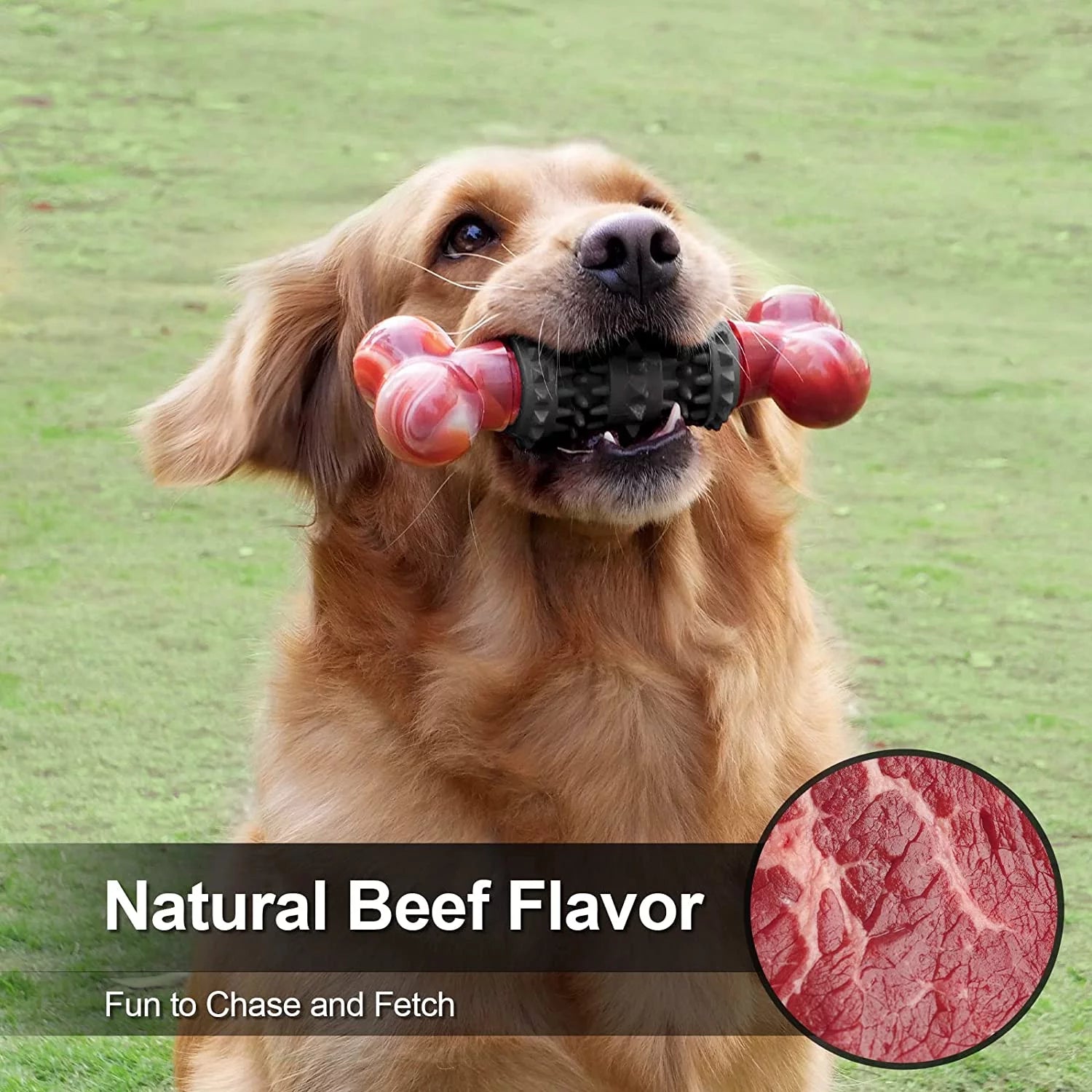 Indestructible Dog Toy for Aggressive Chewers