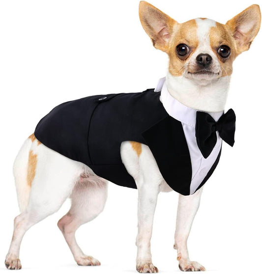 🎩 2-Piece Dog Tuxedo Set – Vest & Bow Tie Collar 🐾 Small Dog Bowtie & Cat Bandana Set | 2 Pack for Chihuahua, Boston Terrier, Bichon, Corgi, Pomeranian