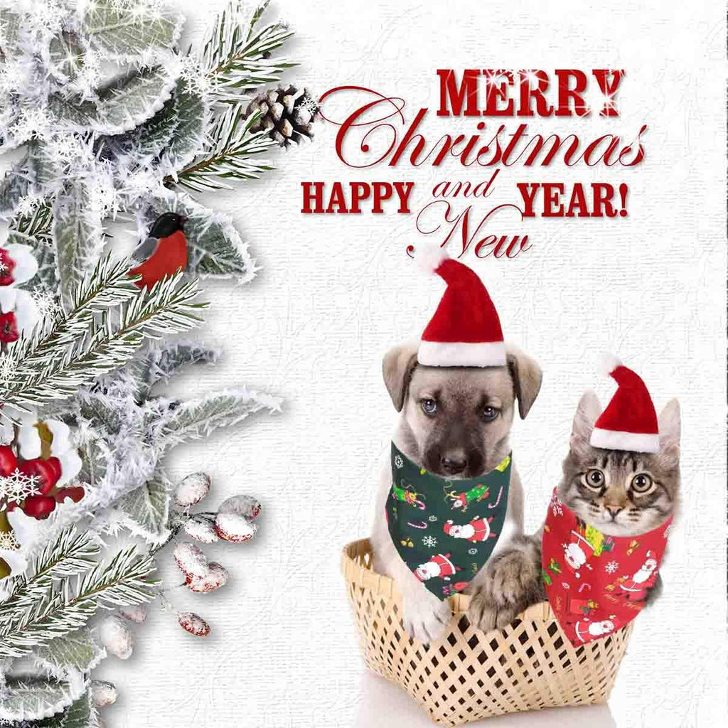 Merry Christmas Dog Bandana & Reversible Triangle Bib | Adjustable Santa Hat Scarf for Dogs – Green & Red Holiday Pet Clothes