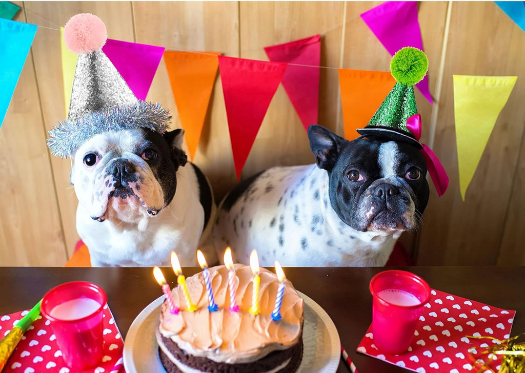 🎉🐾 Sparkly Pet Birthday Hat for Dogs & Cats 🎂✨ Glitter Cone Party Hat with Pom Pom 🎀 Adjustable Elastic Strap 🎈 Cute Pet Accessories for Small Pets, Puppies, Kittens & Rabbits 🐶🐱 Perfect for Birthday Parties, Photoshoots & Celebrations 💖