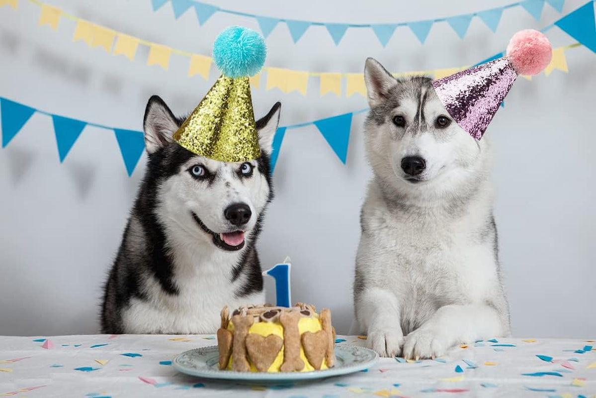 🎉🐾 Adorable Pet Birthday Hat & Bow Tie Set – Sparkly Party Outfit for Dogs & Cats 🎂 Perfect for Birthday Parties, Holidays, Photo Shoots, Themed Parties, Playdates, Cute Pet Accessories, Gift for Pet Lovers & Small to Medium Pets ✨
