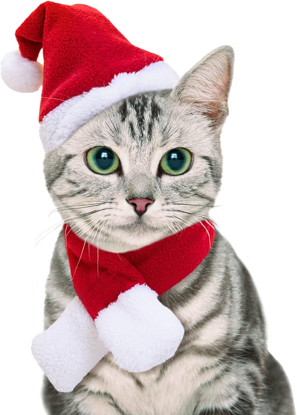 Santa Hat & Scarf Christmas Pet Costume