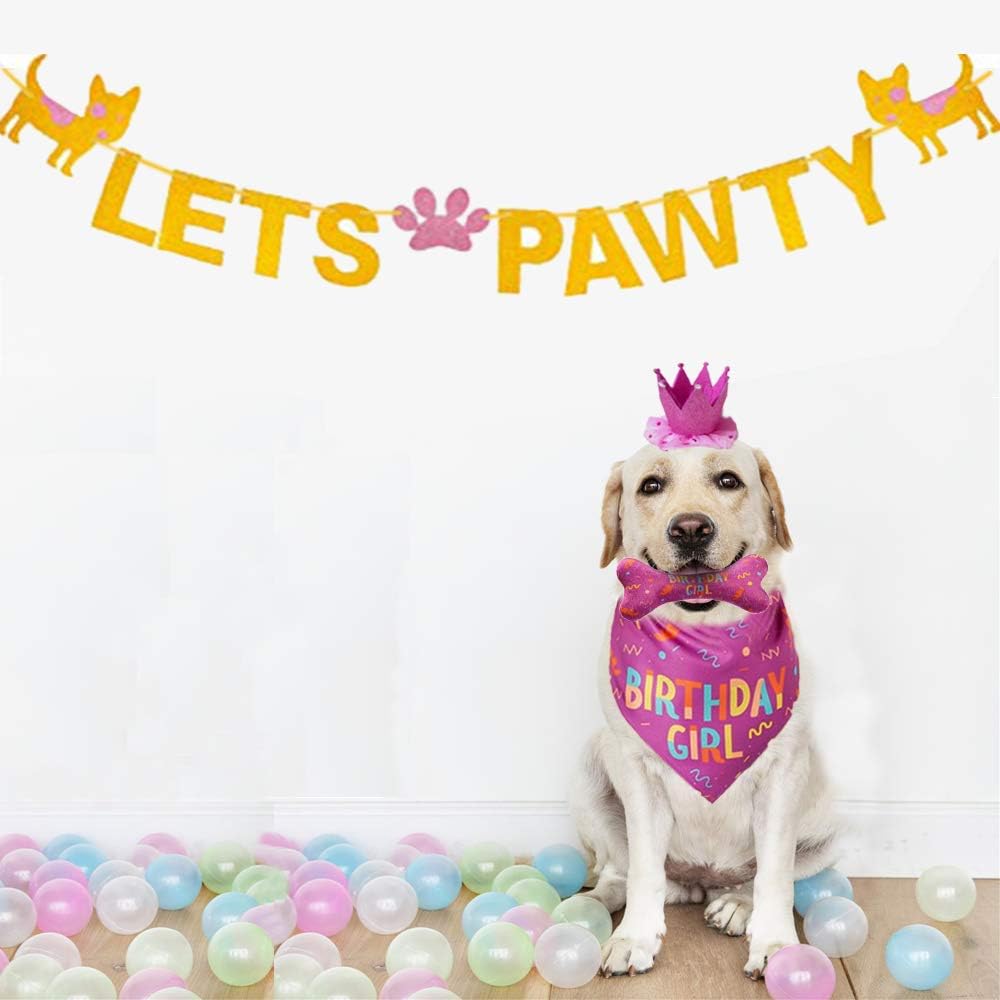 🎉🐾 Dog Birthday Outfit Set – Bandana, Hat & Squeaky Toy, Party Gift 🎊