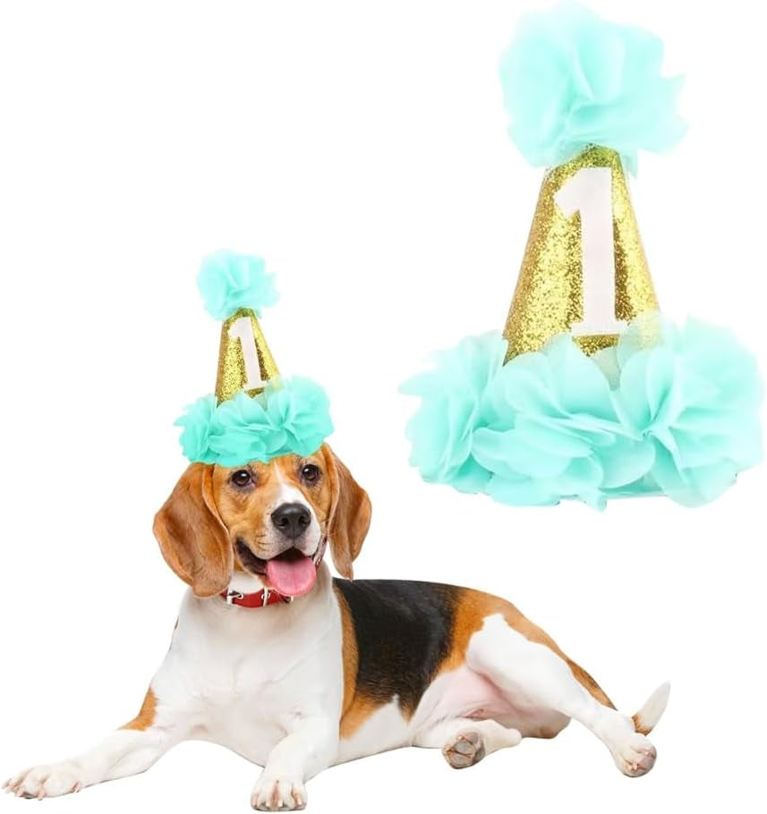 🎉🐾 Sparkly Pet Birthday Hat for Dogs & Cats 🎂💖 Glitter Party Cone Hat with Flowers 🌸 Adjustable Elastic Strap 🎀 Cute Pet Birthday Accessory for Small & Medium Breeds 🐶🐱 Perfect for Party, Photo Shoot, Parade, Playdate & Celebration ✨🎁