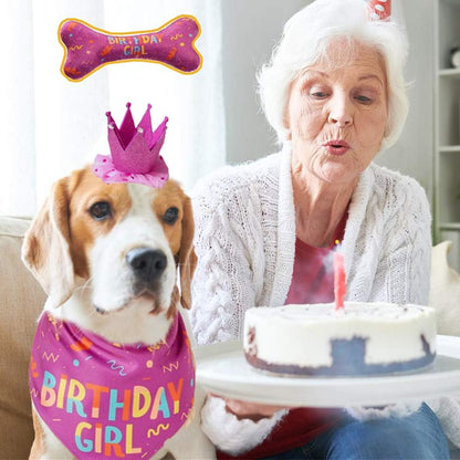 🎉🐾 Dog Birthday Outfit Set – Bandana, Hat & Squeaky Toy, Party Gift 🎊
