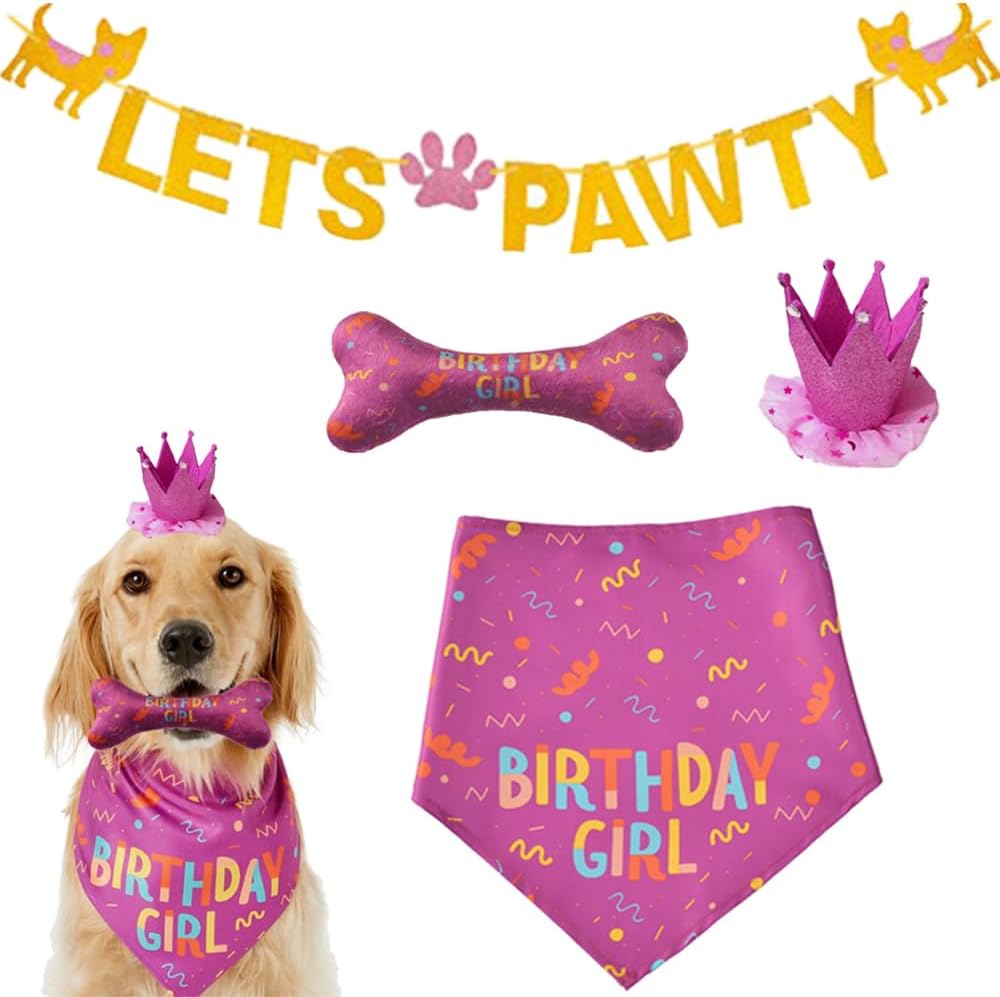 🎉🐾 Dog Birthday Outfit Set – Bandana, Hat & Squeaky Toy, Party Gift 🎊