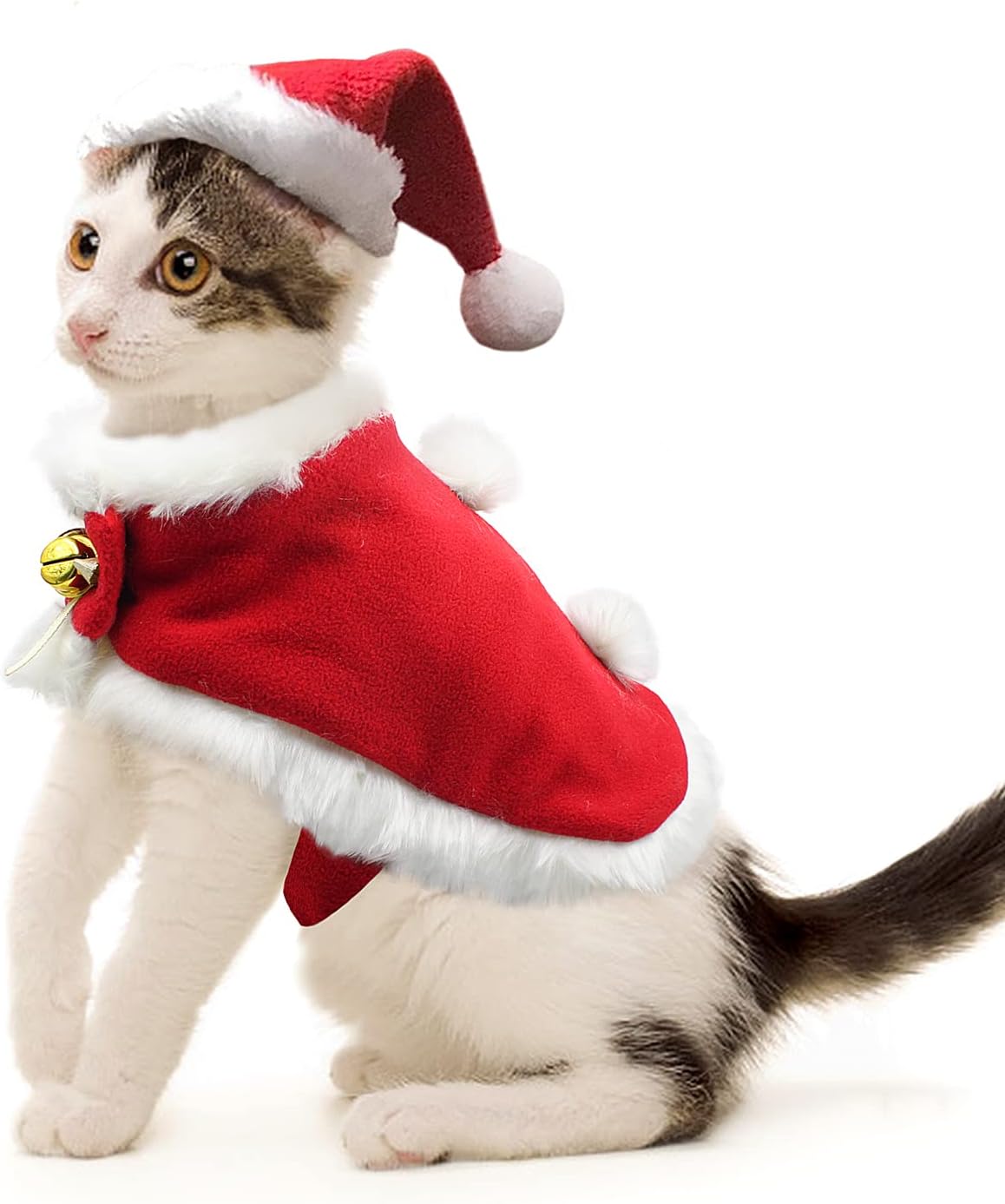 Santa Hat & Scarf Christmas Pet Costume