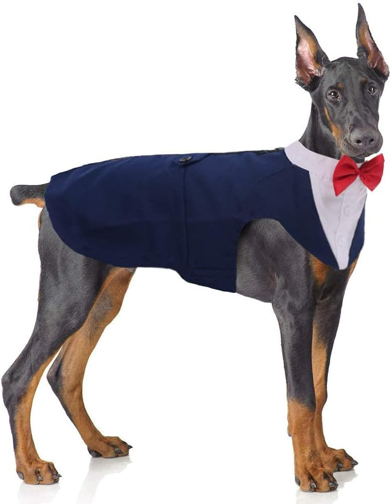 🎩 2-Piece Dog Tuxedo Set – Vest & Bow Tie Collar 🐾 Small Dog Bowtie & Cat Bandana Set | 2 Pack for Chihuahua, Boston Terrier, Bichon, Corgi, Pomeranian