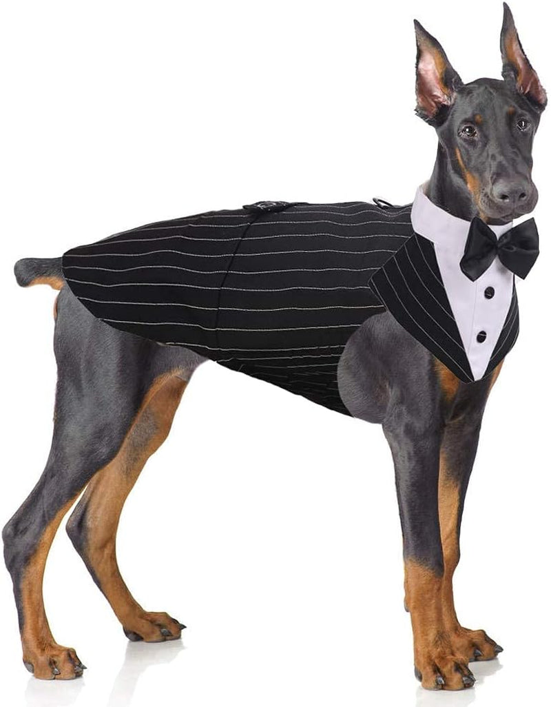 🎩 2-Piece Dog Tuxedo Set – Vest & Bow Tie Collar 🐾 Small Dog Bowtie & Cat Bandana Set | 2 Pack for Chihuahua, Boston Terrier, Bichon, Corgi, Pomeranian