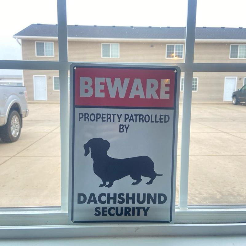 Dachshund Security Metal Sign – Beware Property Warning (8x12")