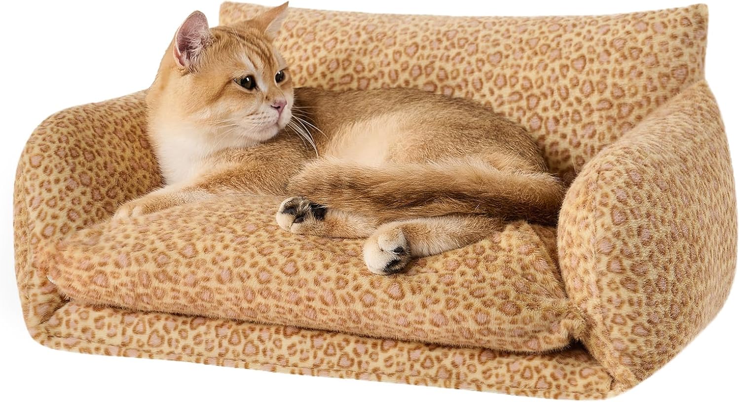 Hollypet Double-Layer Cat Sofa – Cozy, Expandable Pet Couch