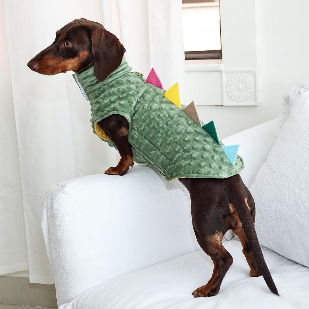 Dinosaur Costume for Dachshunds