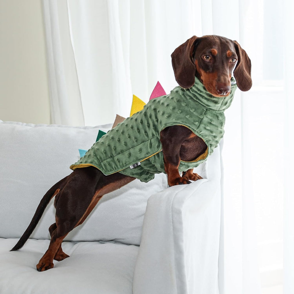 Dinosaur Costume for Dachshunds