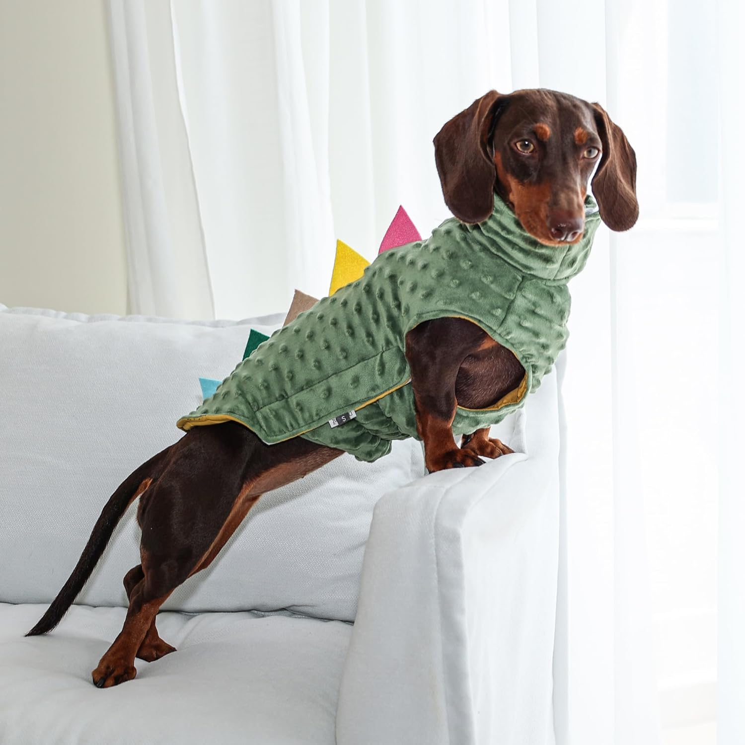 Dinosaur Costume for Dachshunds