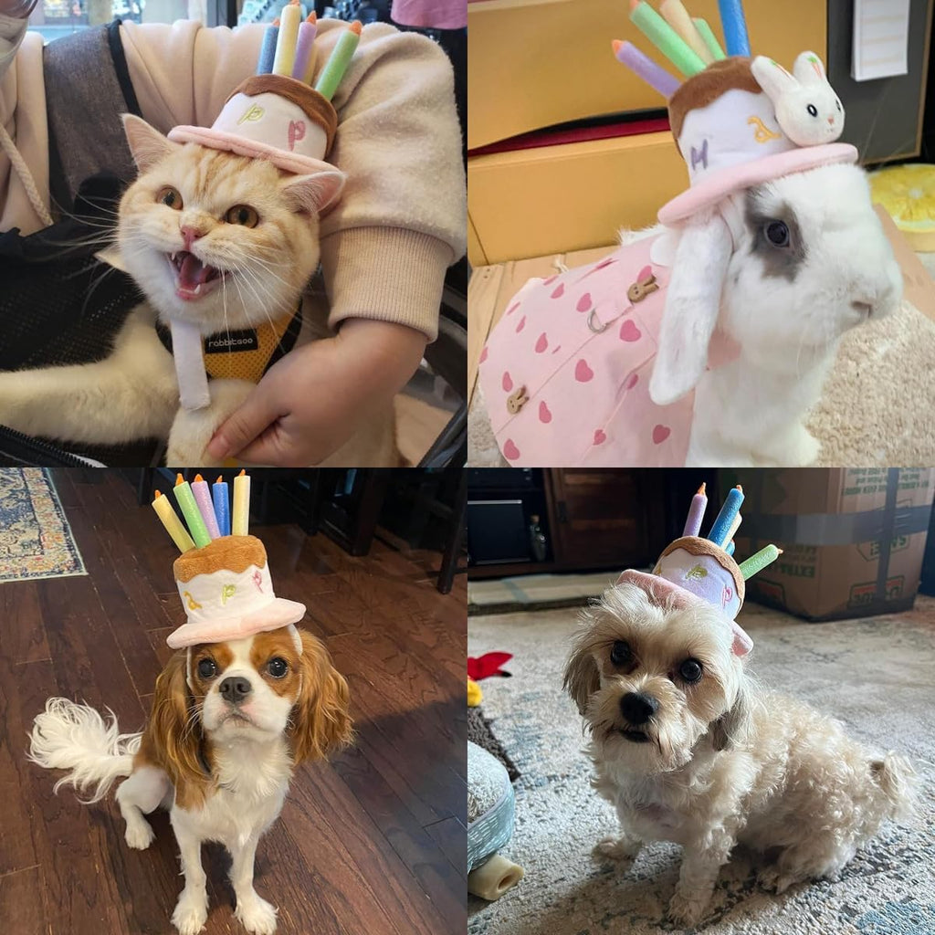 🎂🐾 Cute Pet Birthday Cake Hat – Dogs & Cats Party Accessory 🎉💖