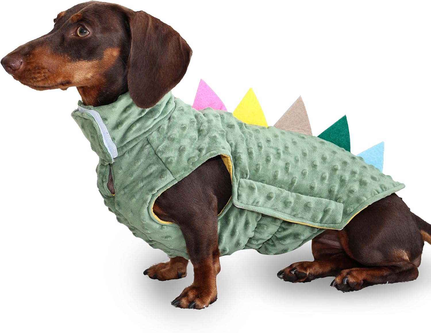 Dinosaur Costume for Dachshunds
