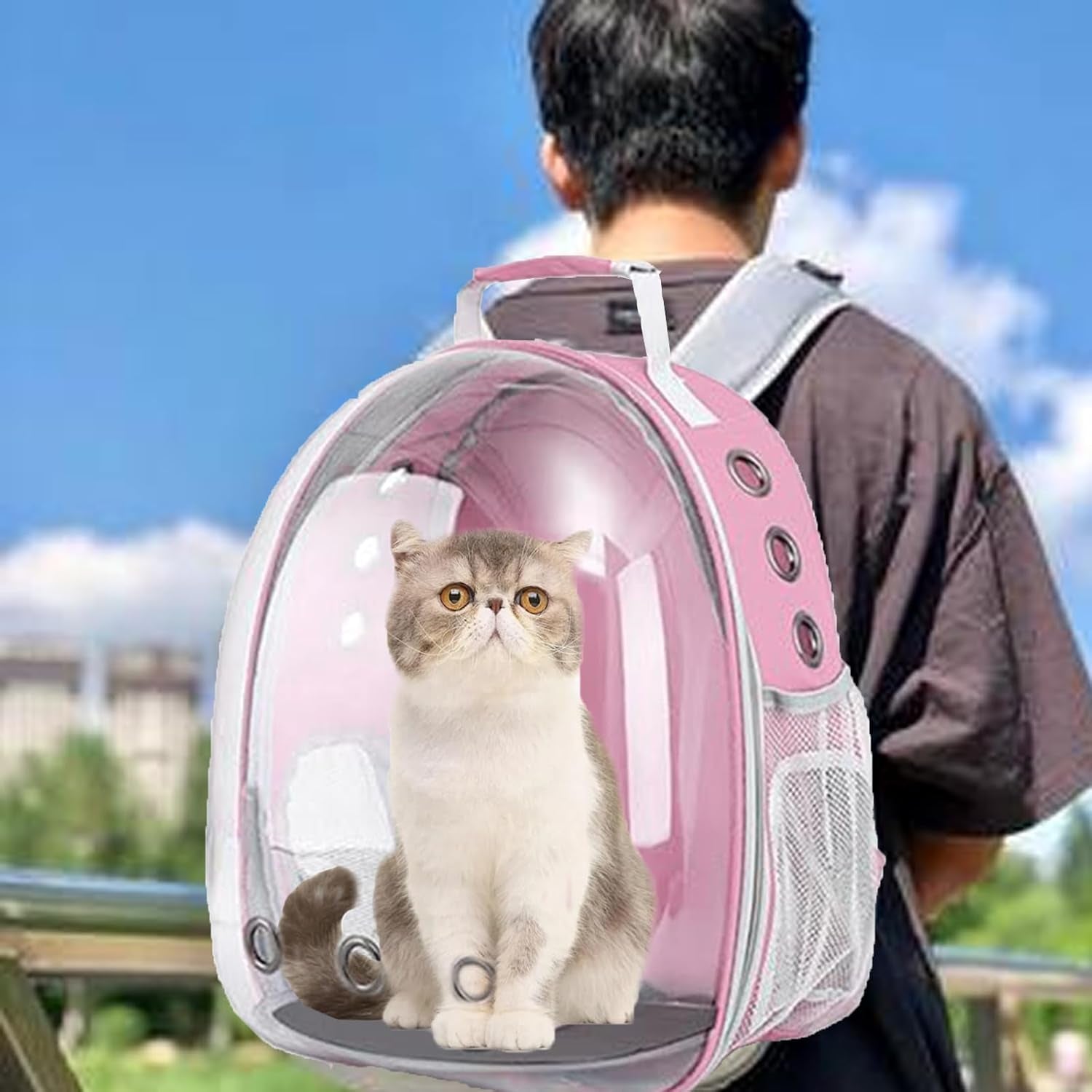 Space Capsule Pet Carrier Backpack for Cats & Small Dogs – Airline Approved Travel Bag