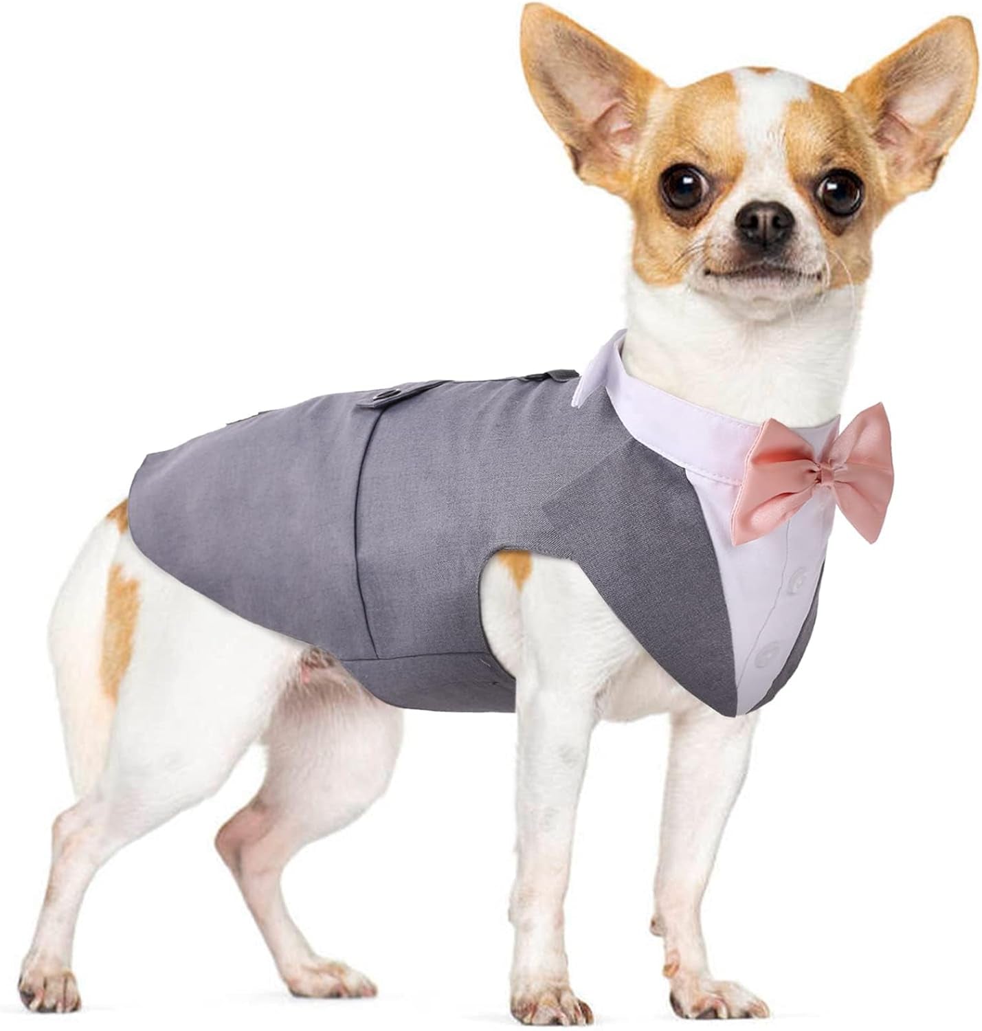 🎩 2-Piece Dog Tuxedo Set – Vest & Bow Tie Collar 🐾 Small Dog Bowtie & Cat Bandana Set | 2 Pack for Chihuahua, Boston Terrier, Bichon, Corgi, Pomeranian