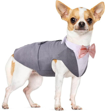 🎩 2-Piece Dog Tuxedo Set – Vest & Bow Tie Collar 🐾 Small Dog Bowtie & Cat Bandana Set | 2 Pack for Chihuahua, Boston Terrier, Bichon, Corgi, Pomeranian