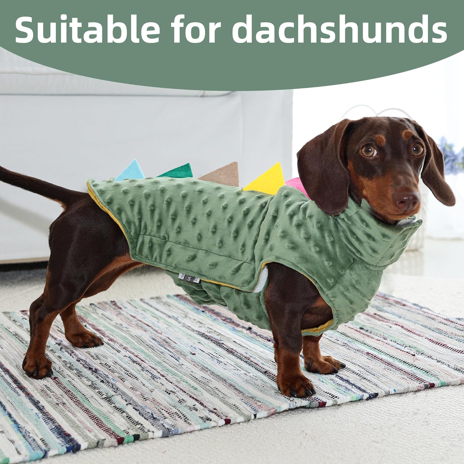 Dinosaur Costume for Dachshunds