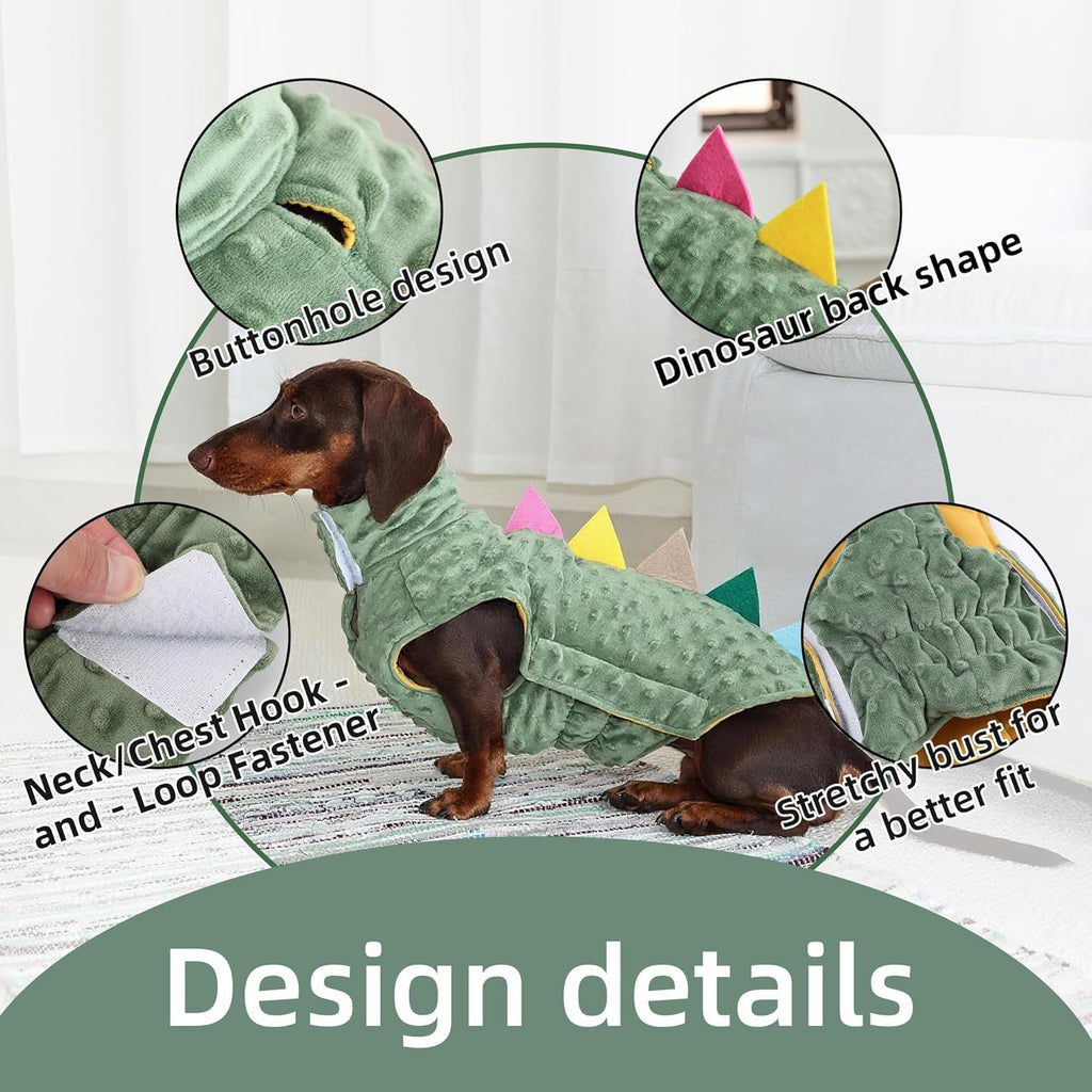 Dinosaur Costume for Dachshunds