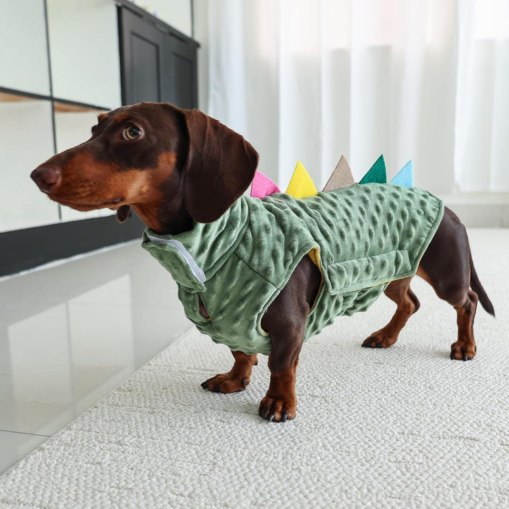 Dinosaur Costume for Dachshunds