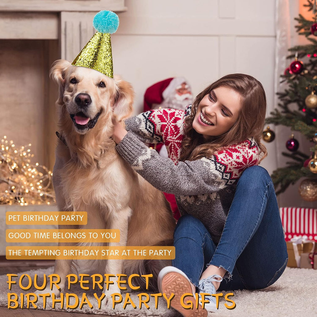  🎉🐾 4 Sparkly Pet Birthday Hats – Glitter Cone with Pom Pom 🎂✨