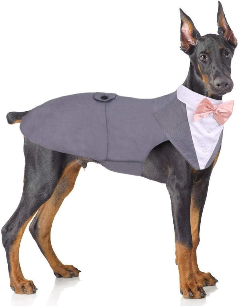 🎩 2-Piece Dog Tuxedo Set – Vest & Bow Tie Collar 🐾 Small Dog Bowtie & Cat Bandana Set | 2 Pack for Chihuahua, Boston Terrier, Bichon, Corgi, Pomeranian