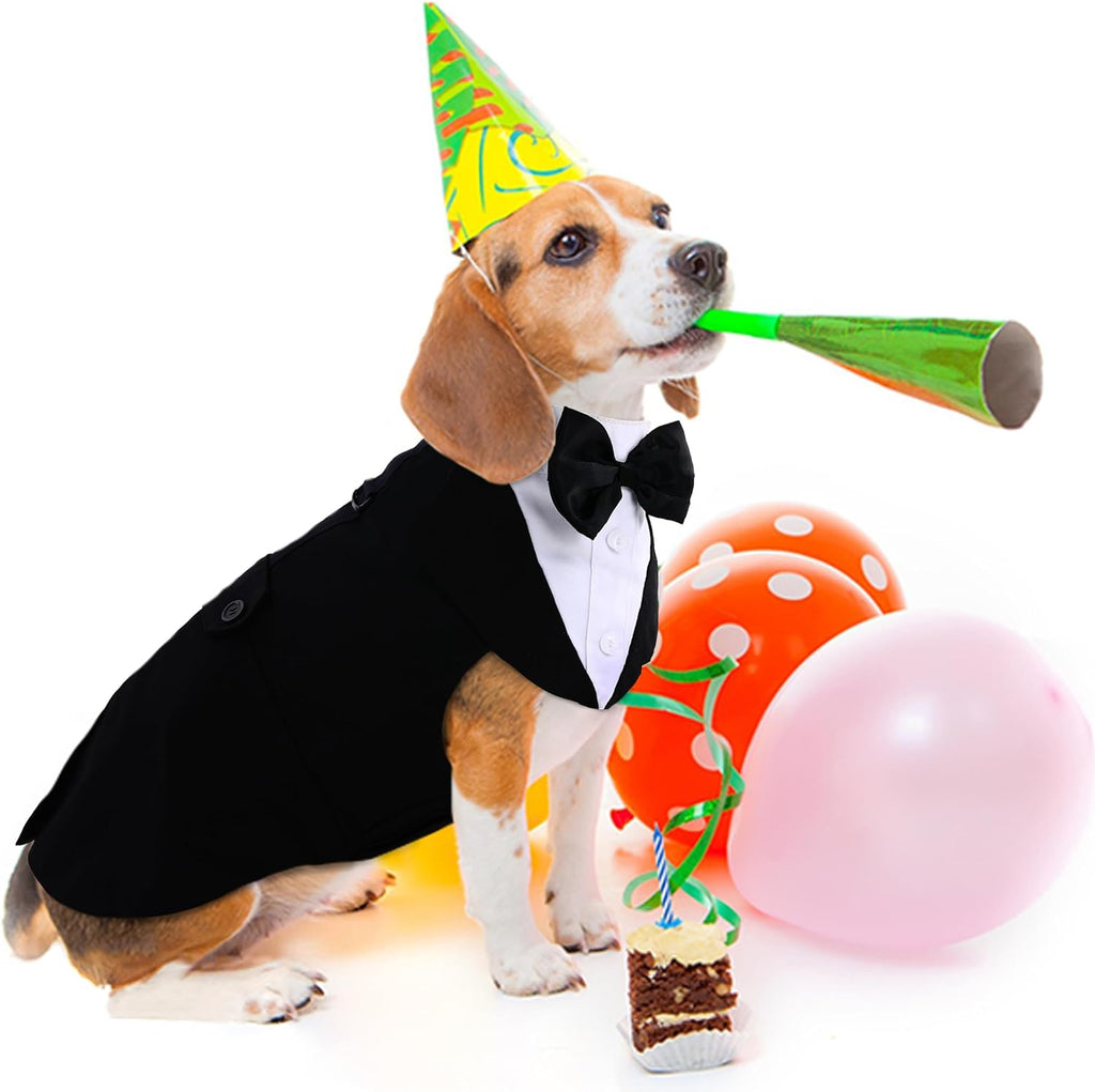 🎩 2-Piece Dog Tuxedo Set – Vest & Bow Tie Collar 🐾 Small Dog Bowtie & Cat Bandana Set | 2 Pack for Chihuahua, Boston Terrier, Bichon, Corgi, Pomeranian