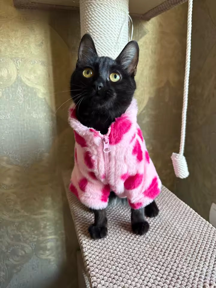 Valentine’s Heart Dog Hoodie – Warm Plush Jacket