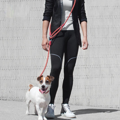 Reflective Hands-Free Dog Leash for Running & Walking
