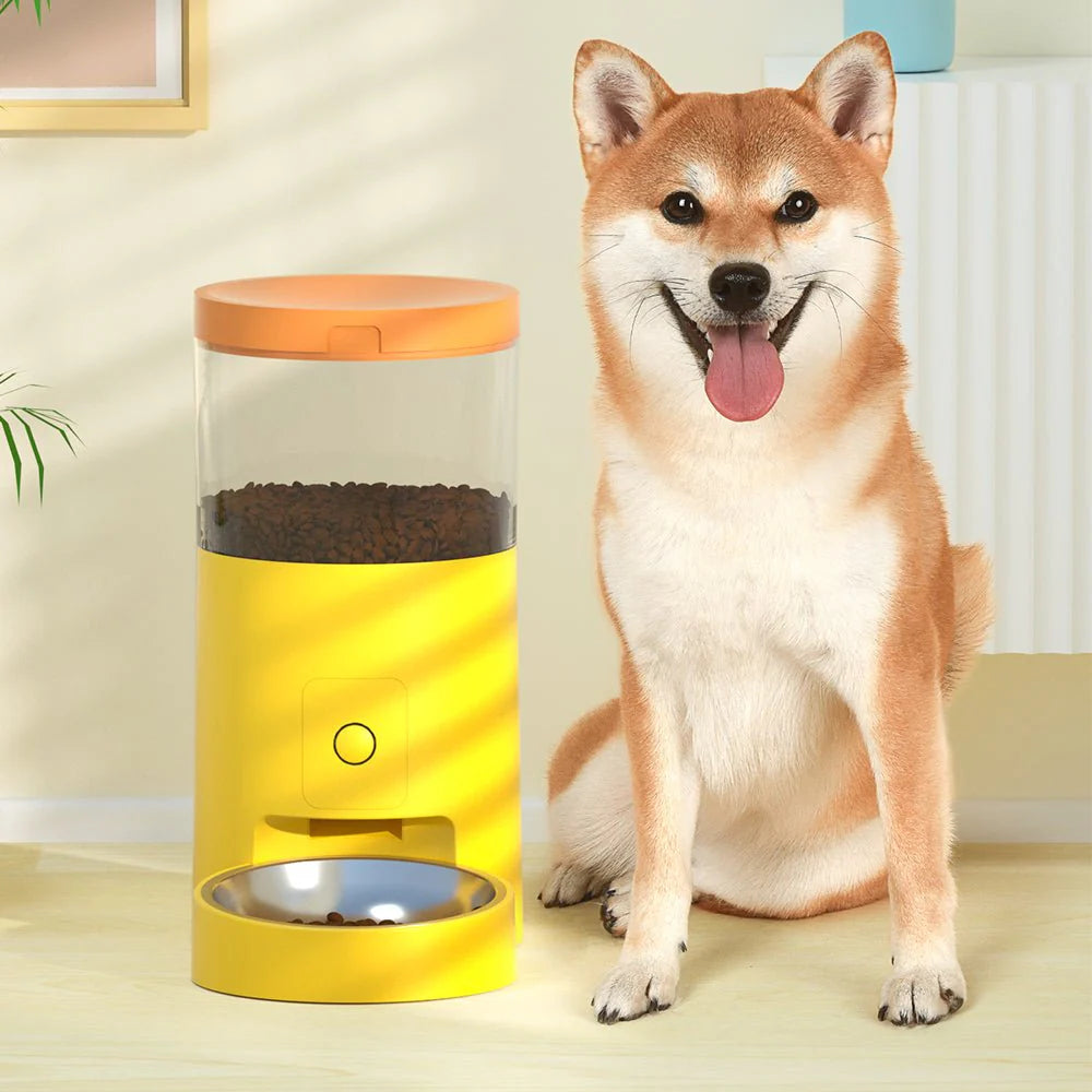 HEYBO Automatic Cat Feeder – Wi-Fi Smart, Rechargeable, 30-Day Battery Life