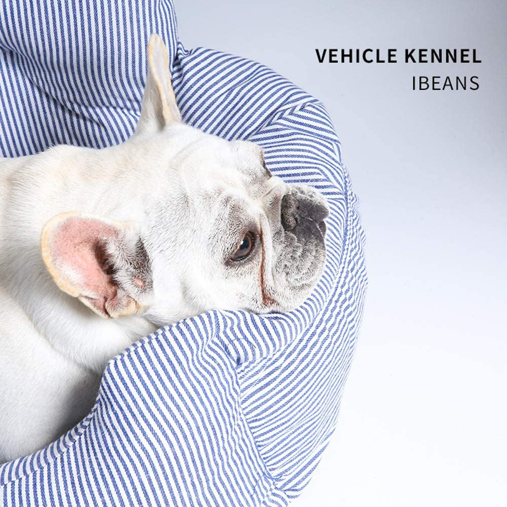 🐶💙  Pet Booster Seat – Your Furry Friend’s VIP Throne on Wheels! 🐾🚗 