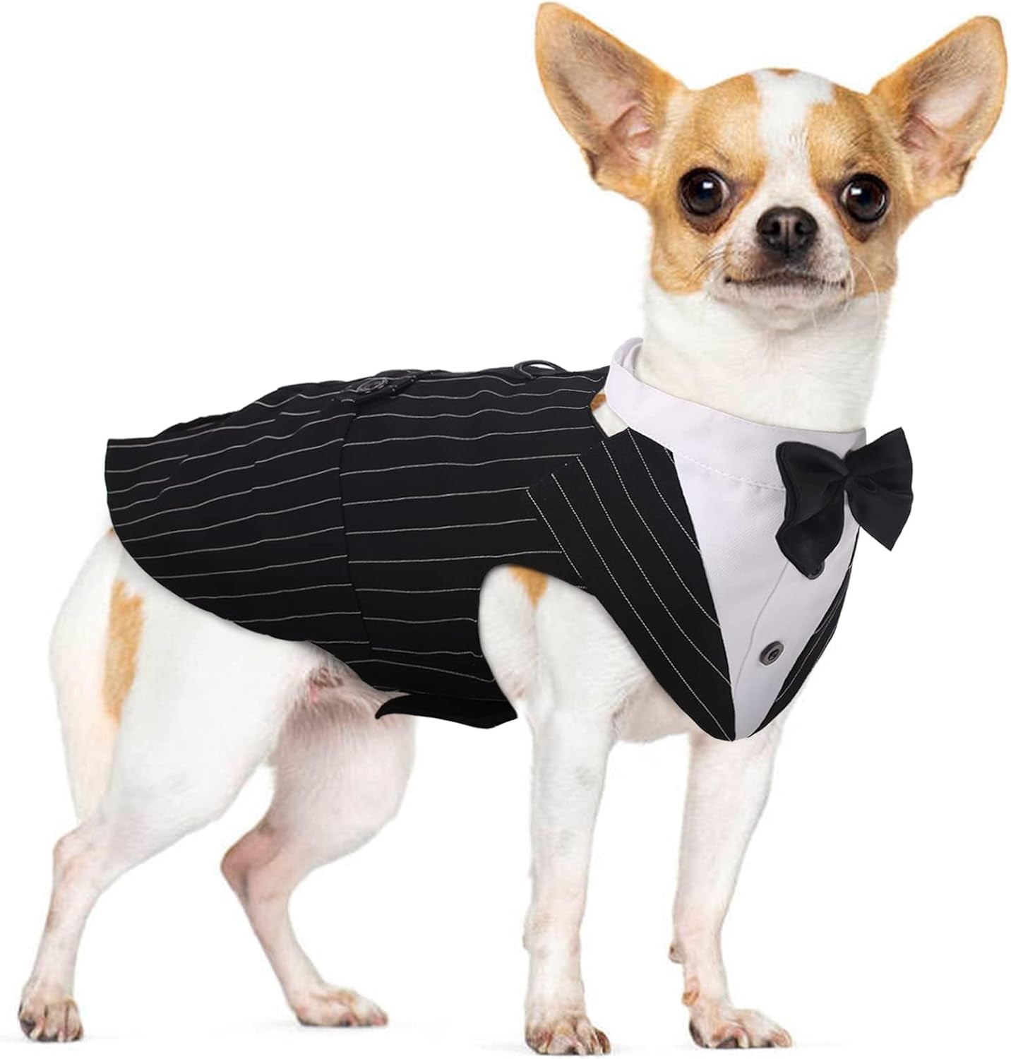 🎩 2-Piece Dog Tuxedo Set – Vest & Bow Tie Collar 🐾 Small Dog Bowtie & Cat Bandana Set | 2 Pack for Chihuahua, Boston Terrier, Bichon, Corgi, Pomeranian