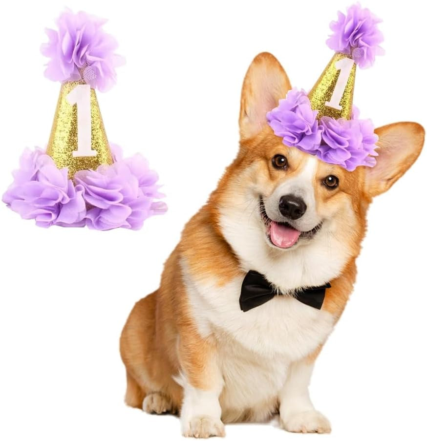 🎉🐾 Sparkly Pet Birthday Hat for Dogs & Cats 🎂💖 Glitter Party Cone Hat with Flowers 🌸 Adjustable Elastic Strap 🎀 Cute Pet Birthday Accessory for Small & Medium Breeds 🐶🐱 Perfect for Party, Photo Shoot, Parade, Playdate & Celebration ✨🎁