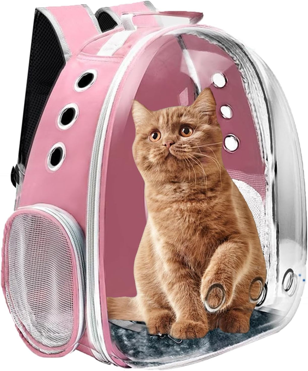 Space Capsule Pet Carrier Backpack for Cats & Small Dogs – Airline Approved Travel Bag