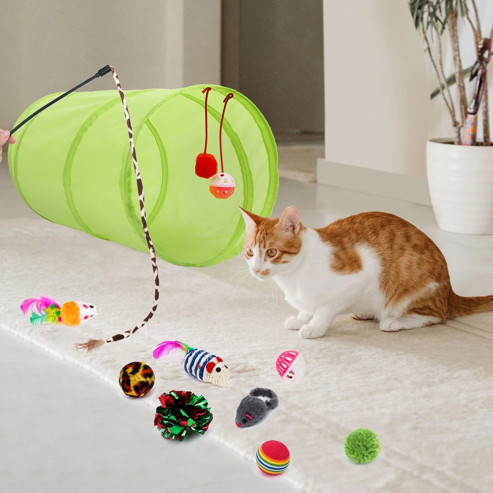 21 PCS Interactive Cat Toys Kitten Playset
