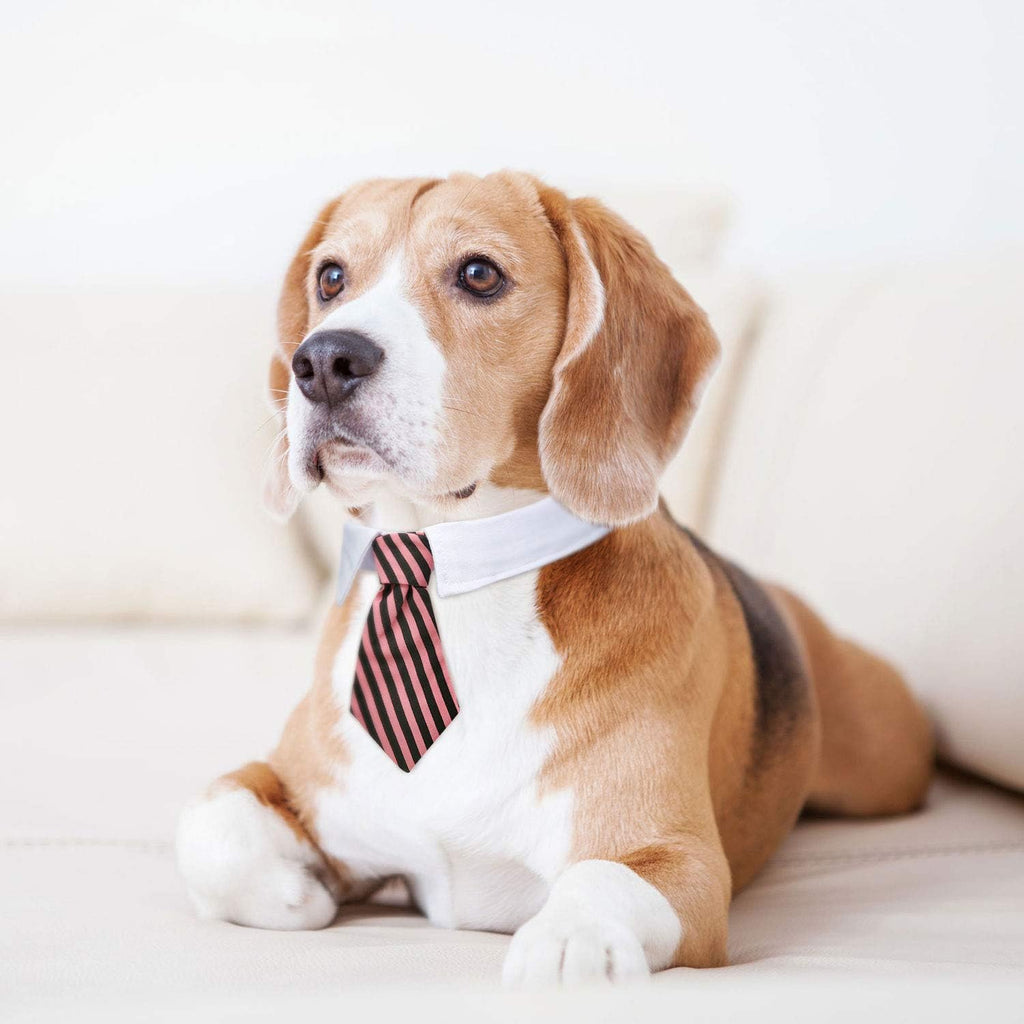 4 Pack Pet Bow Ties Adjustable | Formal Dog Collar & Cat Neck Tie for Small Dogs & Cats | Puppy Grooming Party Costume Accessories – L, Black, Red, Pink, Blue, Gray