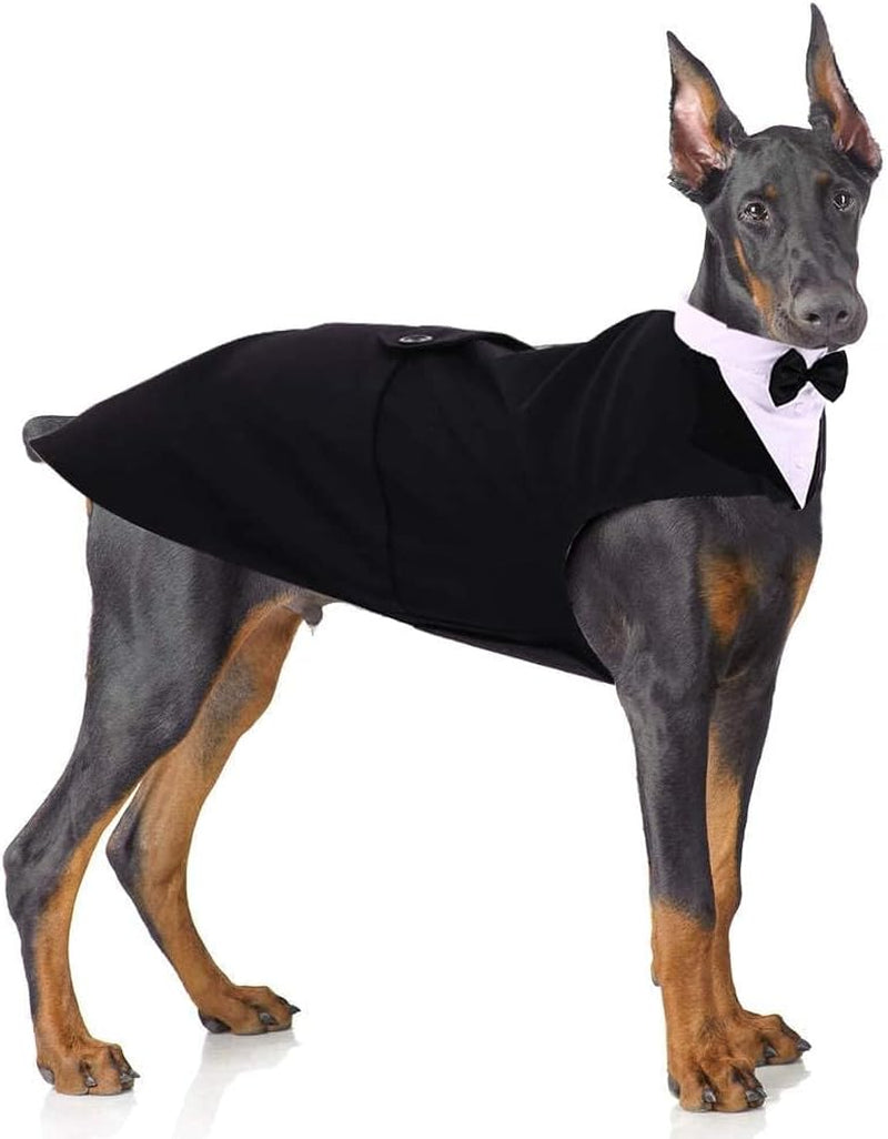 🎩 2-Piece Dog Tuxedo Set – Vest & Bow Tie Collar 🐾 Small Dog Bowtie & Cat Bandana Set | 2 Pack for Chihuahua, Boston Terrier, Bichon, Corgi, Pomeranian